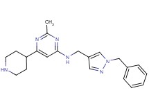 N-[(1-benzyl-1H-pyrazol-4-yl)methyl]-2-methyl-6-piperidin-4-ylpyrimidin-4-amine