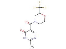 2-methyl-5-{[2-(trifluoromethyl)morpholin-4-yl]carbonyl}pyrimidin-4(3H)-one