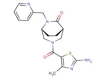 (1S*,5R*)-3-[(2-amino-4-methyl-1,3-thiazol-5-yl)carbonyl]-6-(pyridin-2-ylmethyl)-3,6-diazabicyclo[3.2.2]nonan-7-one
