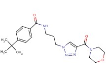 4-tert-butyl-N-{3-[4-(4-morpholinylcarbonyl)-1H-1,2,3-triazol-1-yl]propyl}benzamide