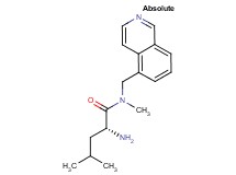 N~1~-(isoquinolin-5-ylmethyl)-N~1~-methyl-D-leucinamide