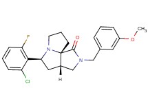 (3aS*,5S*,9aS*)-5-(2-chloro-6-fluorophenyl)-2-(3-methoxybenzyl)hexahydro-7H-pyrrolo[3,4-g]pyrrolizin-1(2H)-one