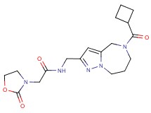 N-{[5-(cyclobutylcarbonyl)-5,6,7,8-tetrahydro-4H-pyrazolo[1,5-a][1,4]diazepin-2-yl]methyl}-2-(2-oxo-1,3-oxazolidin-3-yl)acetamide