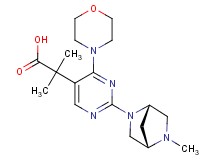 2-methyl-2-{2-[(1S*,4S*)-5-methyl-2,5-diazabicyclo[2.2.1]hept-2-yl]-4-morpholin-4-ylpyrimidin-5-yl}propanoic acid