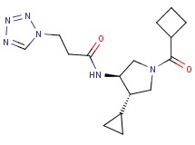 N-[(3R*,4S*)-1-(cyclobutylcarbonyl)-4-cyclopropylpyrrolidin-3-yl]-3-(1H-tetrazol-1-yl)propanamide