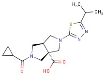 (3aS*,6aS*)-2-(cyclopropylcarbonyl)-5-(5-isopropyl-1,3,4-thiadiazol-2-yl)hexahydropyrrolo[3,4-c]pyrrole-3a(1H)-carboxylic acid