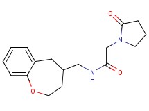 2-(2-oxopyrrolidin-1-yl)-N-(2,3,4,5-tetrahydro-1-benzoxepin-4-ylmethyl)acetamide
