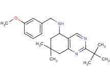 2-tert-butyl-N-(3-methoxybenzyl)-7,7-dimethyl-5,6,7,8-tetrahydro-5-quinazolinamine