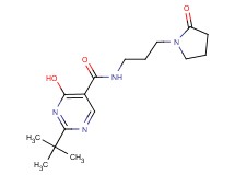 2-tert-butyl-4-hydroxy-N-[3-(2-oxopyrrolidin-1-yl)propyl]pyrimidine-5-carboxamide