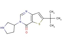 6-tert-butyl-3-pyrrolidin-3-ylthieno[3,2-d]pyrimidin-4(3H)-one