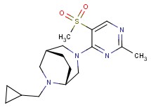 (1R*,5R*)-6-(cyclopropylmethyl)-3-[2-methyl-5-(methylsulfonyl)pyrimidin-4-yl]-3,6-diazabicyclo[3.2.2]nonane