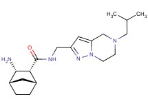 rel-(1R,2R,3S,4S)-3-amino-N-[(5-isobutyl-4,5,6,7-tetrahydropyrazolo[1,5-a]pyrazin-2-yl)methyl]bicyclo[2.2.1]heptane-2-carboxamide dihydrochloride