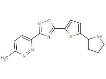 3-methyl-6-{5-[5-(2-pyrrolidinyl)-2-thienyl]-1,2,4-oxadiazol-3-yl}pyridazine hydrochloride
