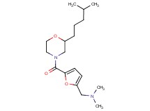 N,N-dimethyl-1-(5-{[2-(4-methylpentyl)-4-morpholinyl]carbonyl}-2-furyl)methanamine