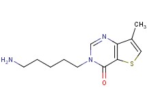 3-(5-aminopentyl)-7-methylthieno[3,2-d]pyrimidin-4(3H)-one