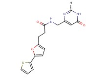 N-[(6-oxo-1,6-dihydropyrimidin-4-yl)methyl]-3-[5-(2-thienyl)-2-furyl]propanamide