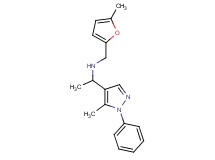 N-[(5-methyl-2-furyl)methyl]-1-(5-methyl-1-phenyl-1H-pyrazol-4-yl)ethanamine