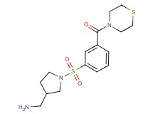 [(1-{[3-(4-thiomorpholinylcarbonyl)phenyl]sulfonyl}-3-pyrrolidinyl)methyl]amine hydrochloride