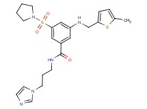 N-[3-(1H-imidazol-1-yl)propyl]-3-{[(5-methyl-2-thienyl)methyl]amino}-5-(1-pyrrolidinylsulfonyl)benzamide