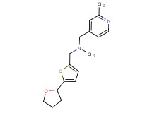 N-methyl-1-(2-methylpyridin-4-yl)-N-{[5-(tetrahydrofuran-2-yl)-2-thienyl]methyl}methanamine