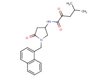 4-methyl-N-[1-(1-naphthylmethyl)-5-oxo-3-pyrrolidinyl]-2-oxopentanamide