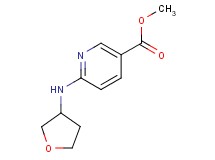 methyl 6-(tetrahydro-3-furanylamino)nicotinate