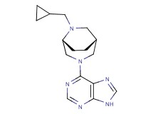 6-[(1R*,5R*)-6-(cyclopropylmethyl)-3,6-diazabicyclo[3.2.2]non-3-yl]-9H-purine