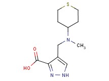 4-{[methyl(tetrahydro-2H-thiopyran-4-yl)amino]methyl}-1H-pyrazole-3-carboxylic acid