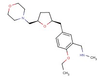 (2-ethoxy-5-{[(2S*,5R*)-5-(morpholin-4-ylmethyl)tetrahydrofuran-2-yl]methyl}benzyl)methylamine