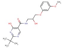 2-tert-butyl-4-hydroxy-N-[2-hydroxy-3-(3-methoxyphenoxy)propyl]pyrimidine-5-carboxamide