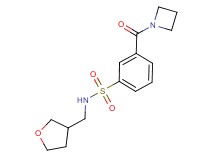 3-(azetidin-1-ylcarbonyl)-N-(tetrahydrofuran-3-ylmethyl)benzenesulfonamide