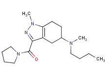 N-butyl-N,1-dimethyl-3-(1-pyrrolidinylcarbonyl)-4,5,6,7-tetrahydro-1H-indazol-5-amine
