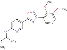 N-(sec-butyl)-5-[3-(2,3-dimethoxyphenyl)-1,2,4-oxadiazol-5-yl]-2-pyridinamine