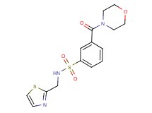 3-(morpholin-4-ylcarbonyl)-N-(1,3-thiazol-2-ylmethyl)benzenesulfonamide