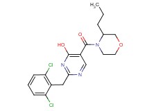 2-(2,6-dichlorobenzyl)-5-[(3-propylmorpholin-4-yl)carbonyl]pyrimidin-4-ol