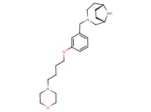 (1S*,6R*)-3-[3-(4-morpholin-4-ylbutoxy)benzyl]-3,9-diazabicyclo[4.2.1]nonane