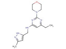 6-ethyl-N-[(3-methyl-1H-pyrazol-5-yl)methyl]-2-morpholin-4-ylpyrimidin-4-amine