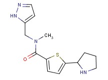 N-methyl-N-(1H-pyrazol-5-ylmethyl)-5-(2-pyrrolidinyl)-2-thiophenecarboxamide trifluoroacetate
