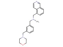 (5-isoquinolinylmethyl)methyl[3-(4-morpholinylmethyl)benzyl]amine