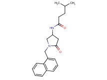 4-methyl-N-[1-(1-naphthylmethyl)-5-oxopyrrolidin-3-yl]pentanamide