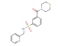 N-(pyridin-2-ylmethyl)-3-(thiomorpholin-4-ylcarbonyl)benzenesulfonamide