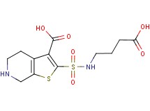 2-{[(3-carboxypropyl)amino]sulfonyl}-4,5,6,7-tetrahydrothieno[2,3-c]pyridine-3-carboxylic acid