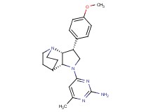 4-[(3R*,3aR*,7aR*)-3-(4-methoxyphenyl)hexahydro-4,7-ethanopyrrolo[3,2-b]pyridin-1(2H)-yl]-6-methylpyrimidin-2-amine