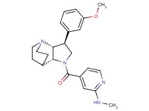 4-{[(3S*,3aR*,7aR*)-3-(3-methoxyphenyl)hexahydro-4,7-ethanopyrrolo[3,2-b]pyridin-1(2H)-yl]carbonyl}-N-methylpyridin-2-amine