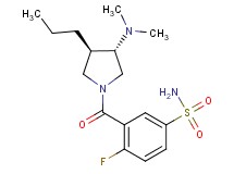 3-{[(3S*,4R*)-3-(dimethylamino)-4-propyl-1-pyrrolidinyl]carbonyl}-4-fluorobenzenesulfonamide