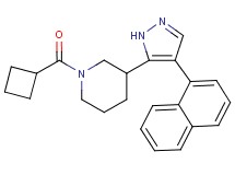 1-(cyclobutylcarbonyl)-3-[4-(1-naphthyl)-1H-pyrazol-5-yl]piperidine