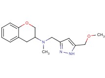 3,4-dihydro-2H-chromen-3-yl{[5-(methoxymethyl)-1H-pyrazol-3-yl]methyl}methylamine