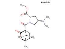 methyl (2S,4R)-4-(dimethylamino)-1-{[(1R,4S)-1,7,7-trimethyl-3-oxo-2-oxabicyclo[2.2.1]hept-4-yl]carbonyl}pyrrolidine-2-carboxylate