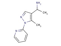 {1-[5-methyl-1-(2-pyridinyl)-1H-pyrazol-4-yl]ethyl}amine hydrochloride