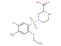 4-[(5-chloro-2-ethoxy-4-methylphenyl)sulfonyl]piperazine-2-carboxylic acid